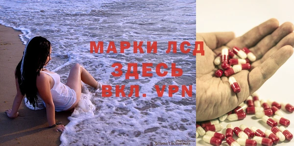 стафф Абинск