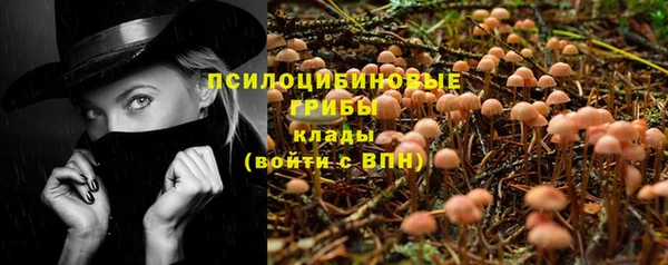 соль ск Абдулино