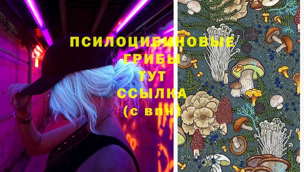 бутират Абаза
