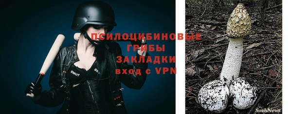 соль ск Абдулино