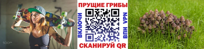 Галлюциногенные грибы прущие грибы  Ртищево 