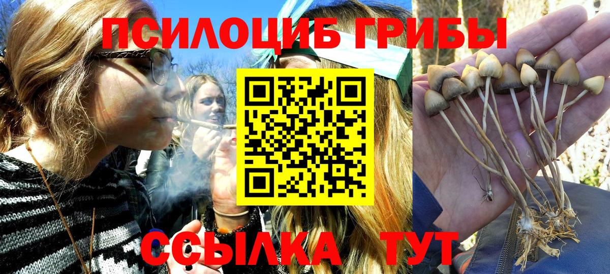 Псилоцибиновые грибы Magic Shrooms  Вход с VPN  Ртищево 