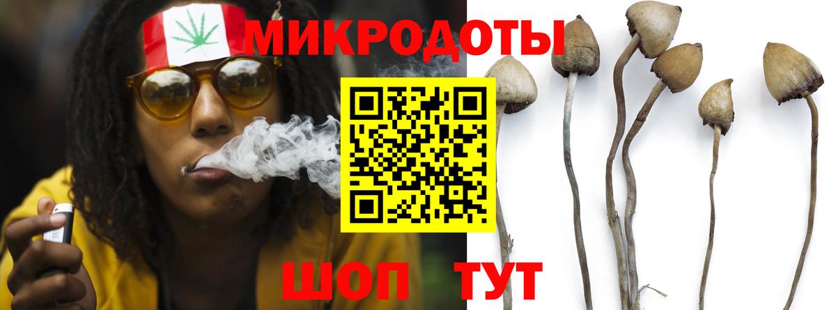 Псилоцибиновые грибы Psilocybine cubensis Ртищево